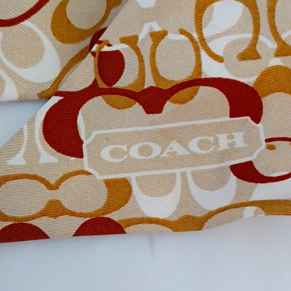 Coach pony ribbon. - Picture 2 of 4